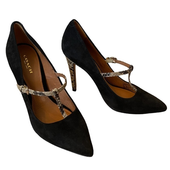 Coach Shoes - 𝅺COACH Black Suede Stilleto Pumps Snake Skin